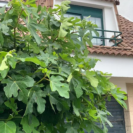 Holiday home Monte Da Garda