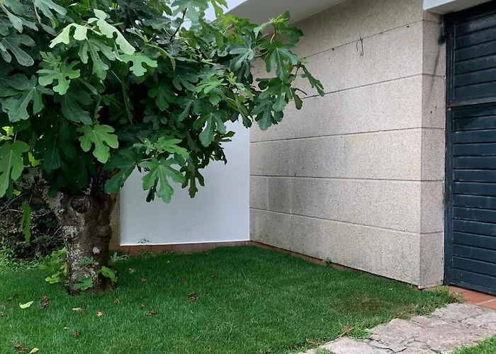 Monte Da Garda O Grove