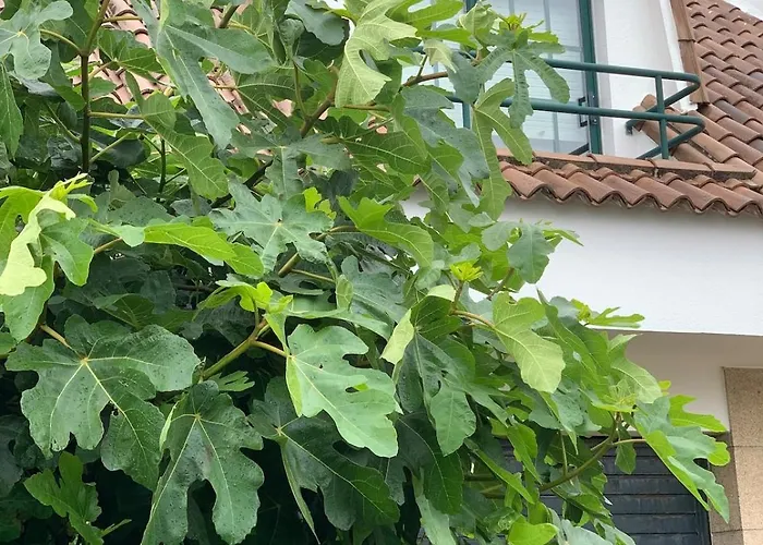 Дом отдыха Monte Da Garda